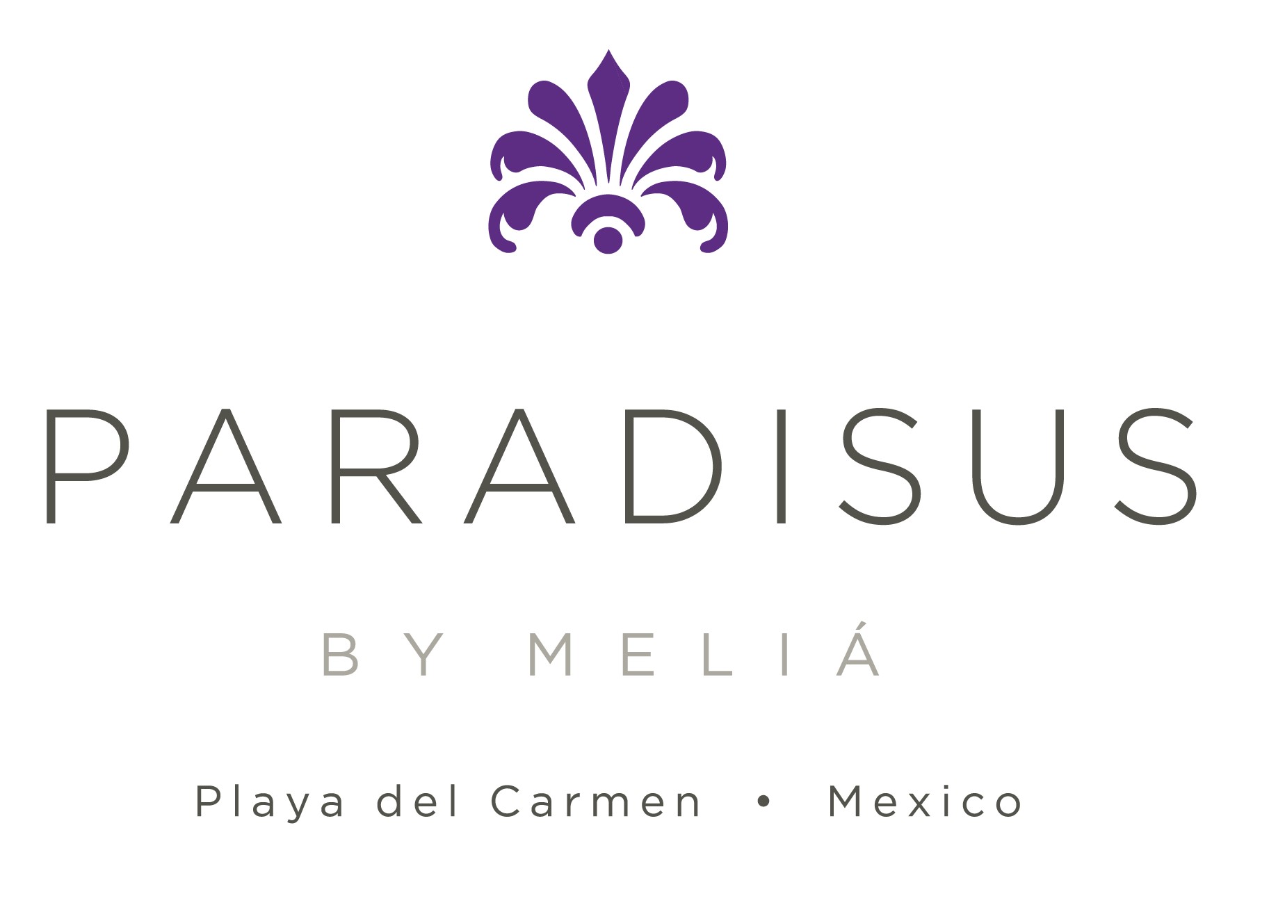 Meetings & Events at PARADISUS Playa del Carmen, Playa del Carmen ...